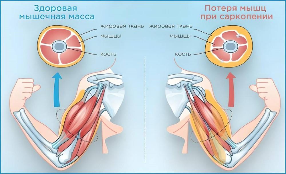 Почему вес тот же, а тело другое?